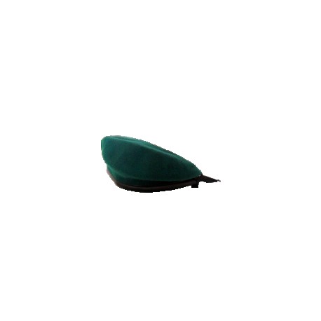 BERRETTI